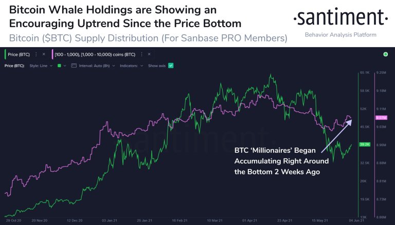 btc-whales