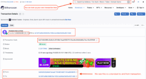 Etherscan transaction details page showing a native Ethereum transfer. The highlighted sections indicate: the transaction action “Transfer 0.000046045 ETH ($0.19)” from one wallet address to another, the transaction hash, and the sender and recipient addresses. Notes point out that this is a standard ‘to and from’ transfer, and the search bar at the top allows users to look up their own transactions.