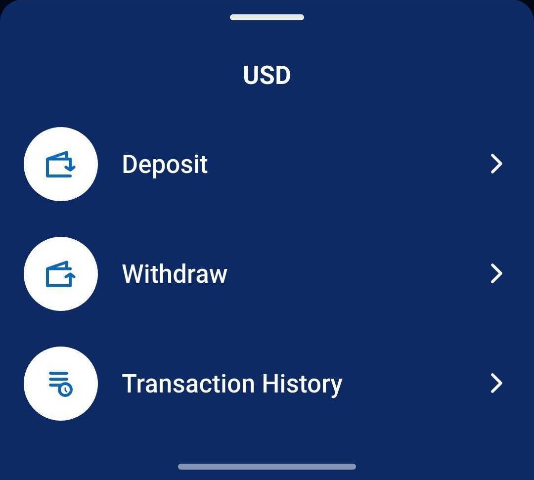 deposit USD