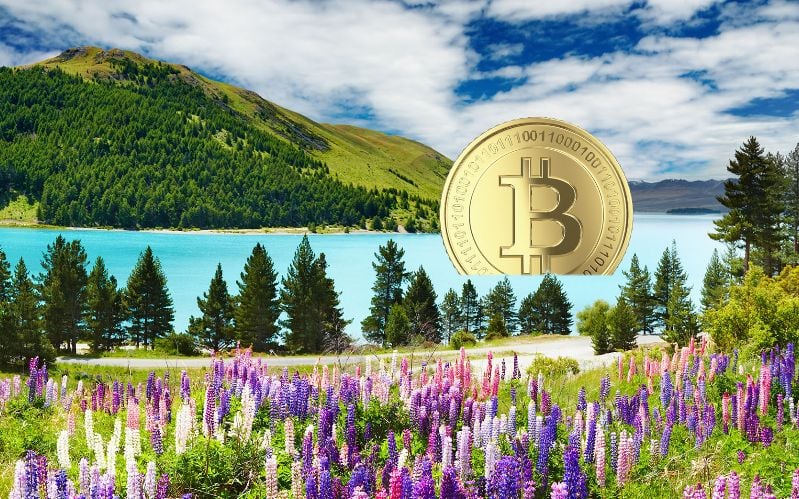 Crypto Spring in full bloom