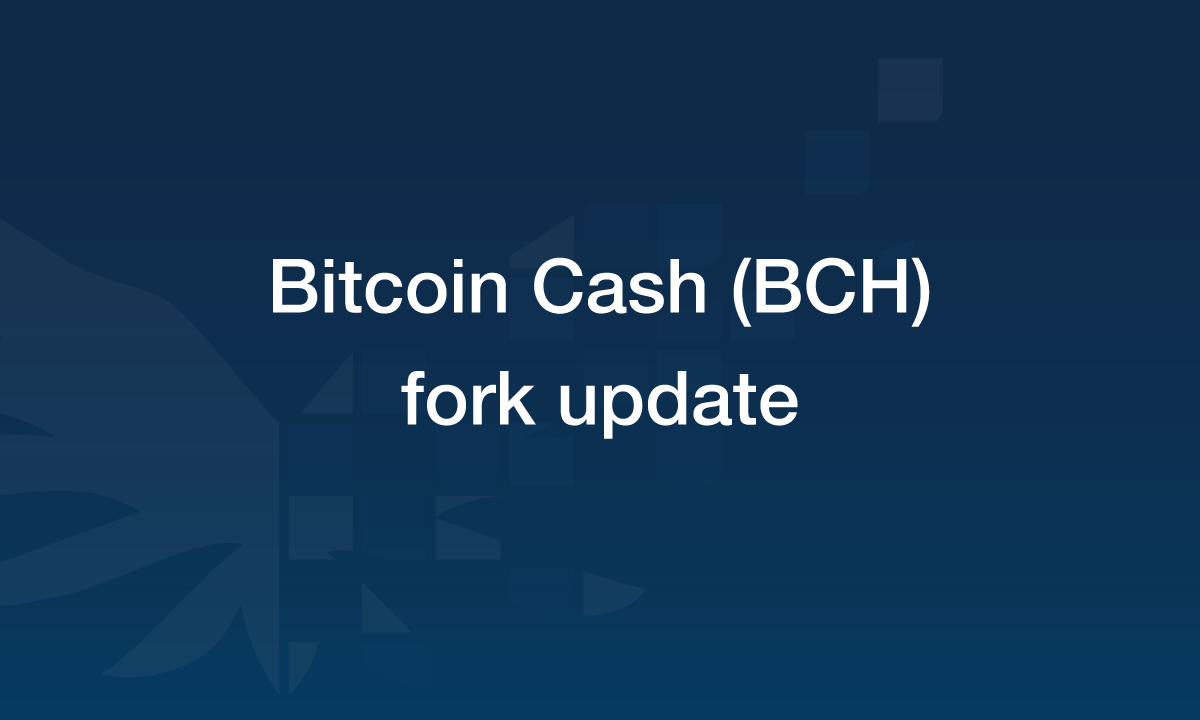 BCH Fork Update