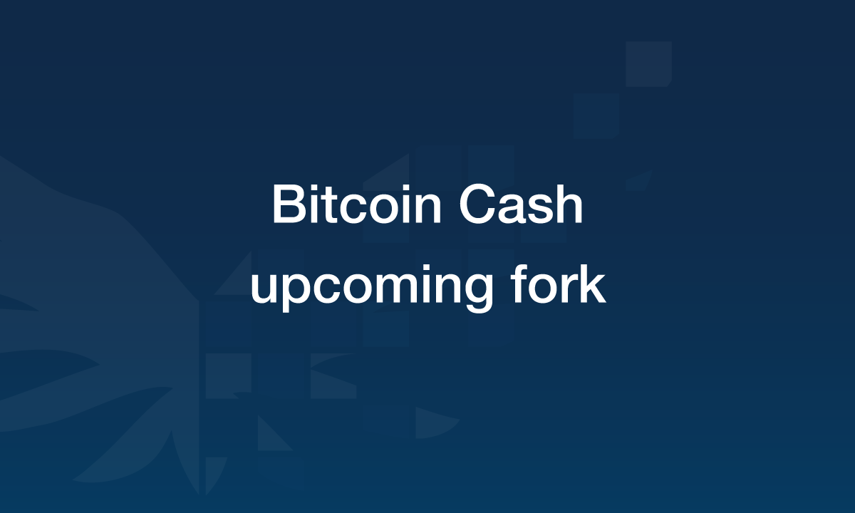 Bitcoin Cash upcoming fork