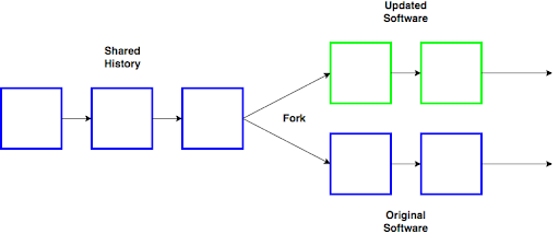 Navigating Changes: The Dynamics of Hard Forks in Blockchain