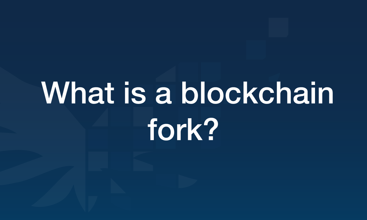 what-is-a-blockchain-fork
