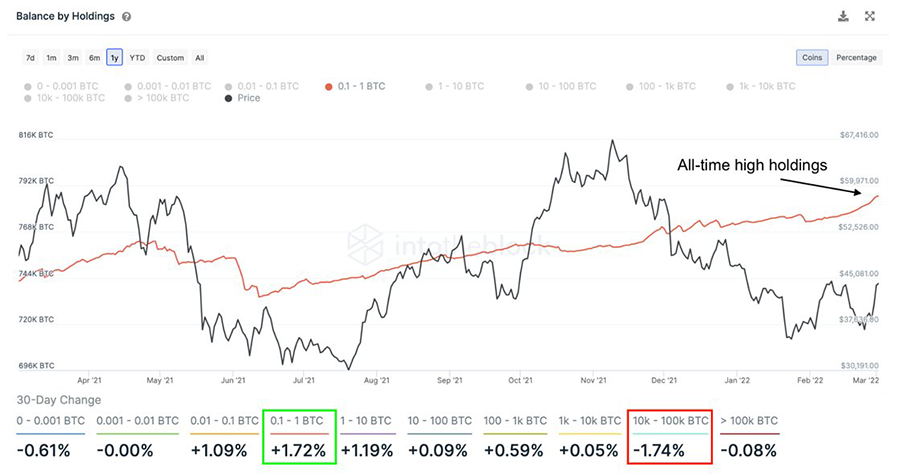 retail btc holders