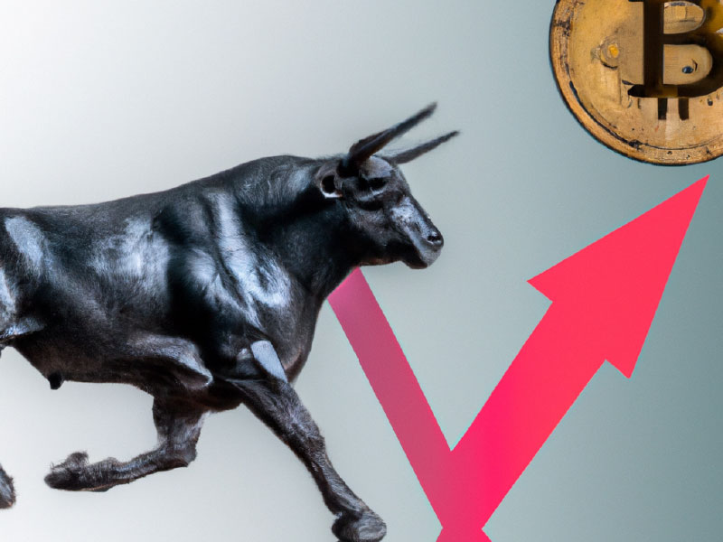 Bitcoin bull run from 2023?