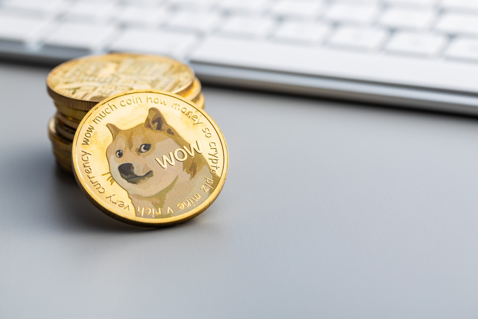 dogecoin image